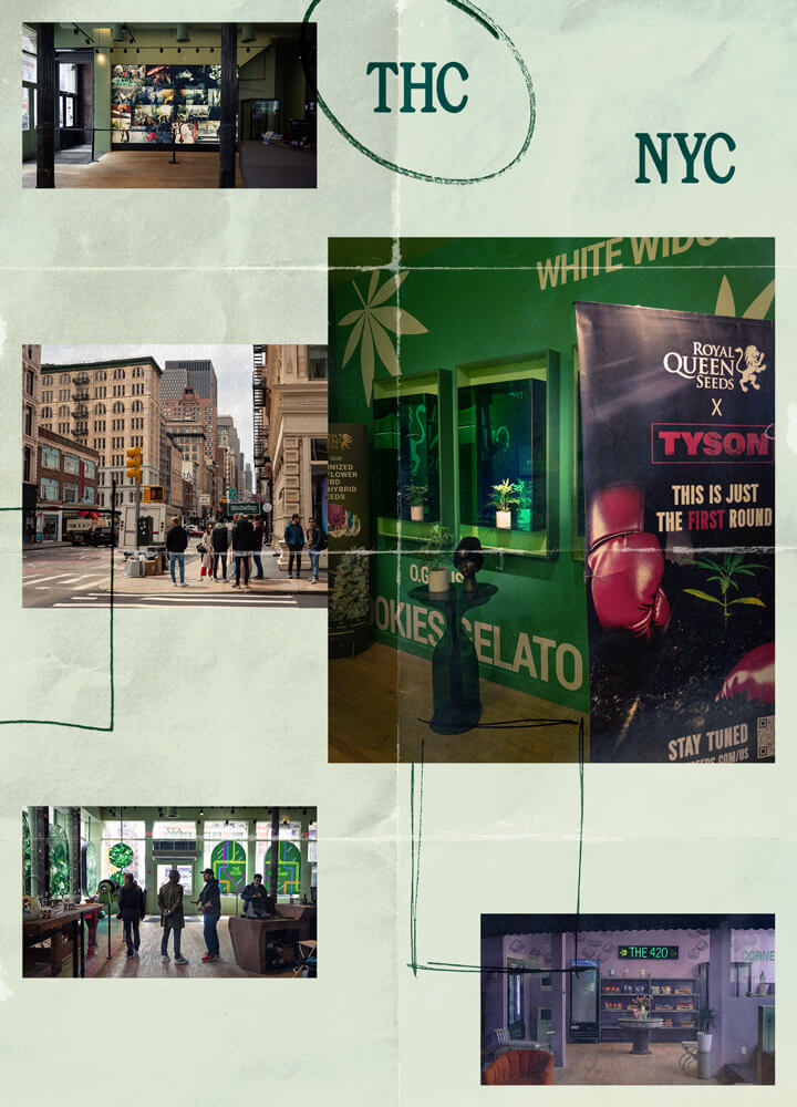 THC-NYC THC-NYC