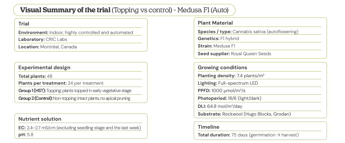 Visual summary of the Medusa F1 (Auto) trial comparing topping vs control, showing experimental design, plant material, growing conditions, nutrient solution, and timeline