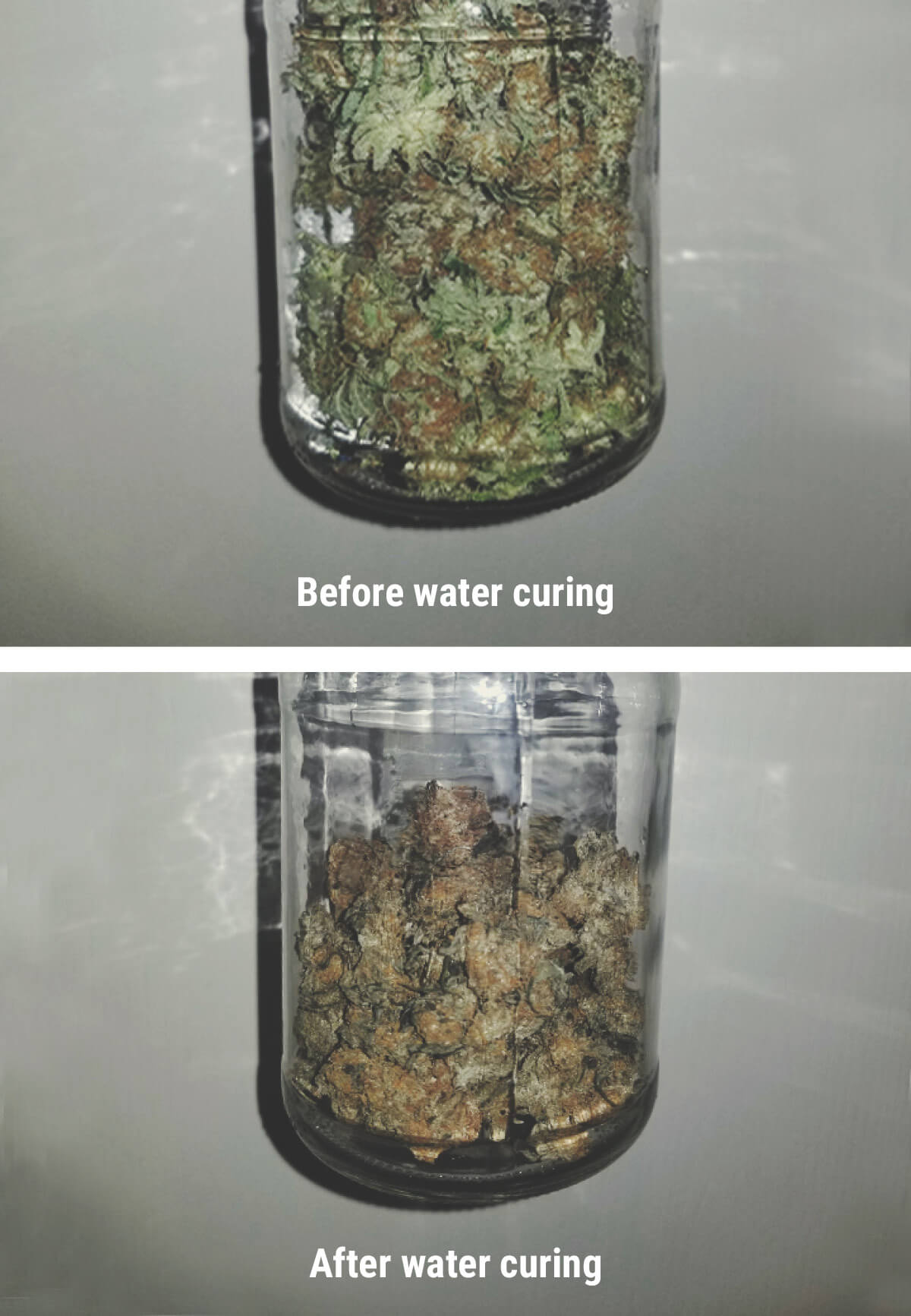 Cannabis Water Curing