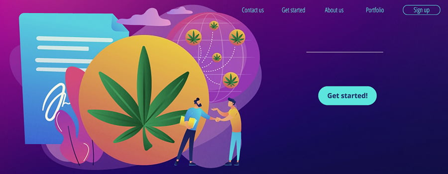 Cannabis Website Job